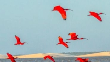 24 a 27/04 Delta das Américas - Parnaíba, Luís Correia e Lagoa do Portinho PI